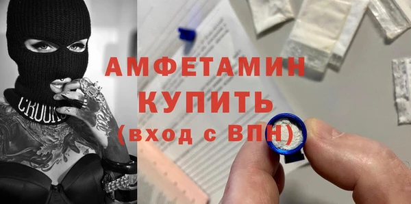 гашик Алексеевка