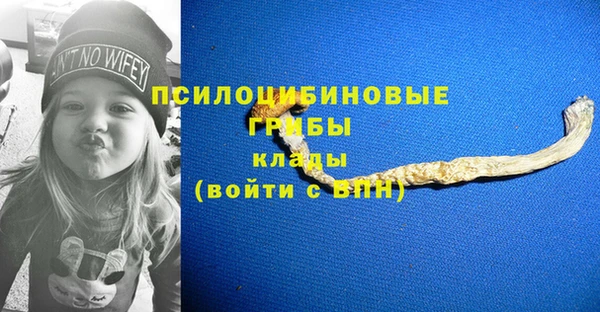 гашик Алексеевка