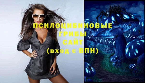 гашик Алексеевка
