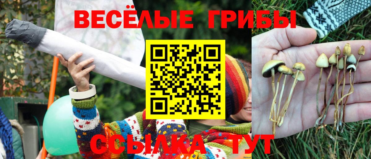 Учалы  Псилоцибиновые грибы Psilocybe  Вход с VPN 